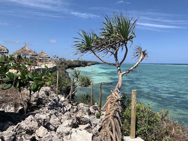 Serene Shores: Mtende Beach, Tanzania - Mtende Beach
