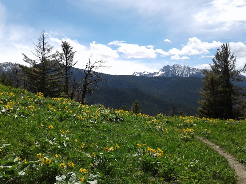 Majestic Peaks of Absaroka Range outdoor detail