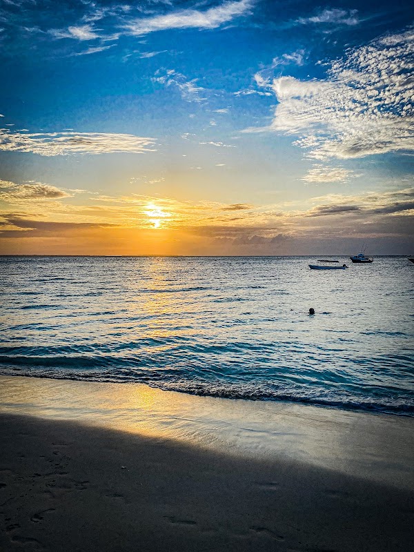Discover the Wonders of Lubaacris Tours & Safaris in Zanzibar - Lubaacris tours & Safaris