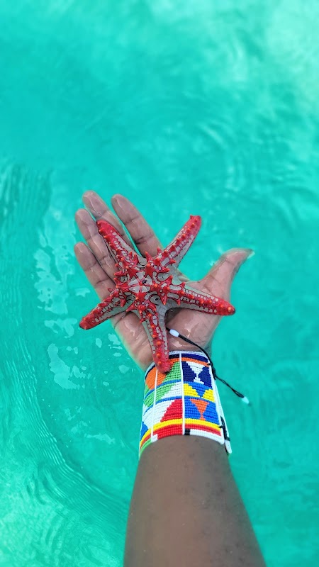 Discover the Wonders of Lubaacris Tours & Safaris in Zanzibar - Lubaacris tours & Safaris