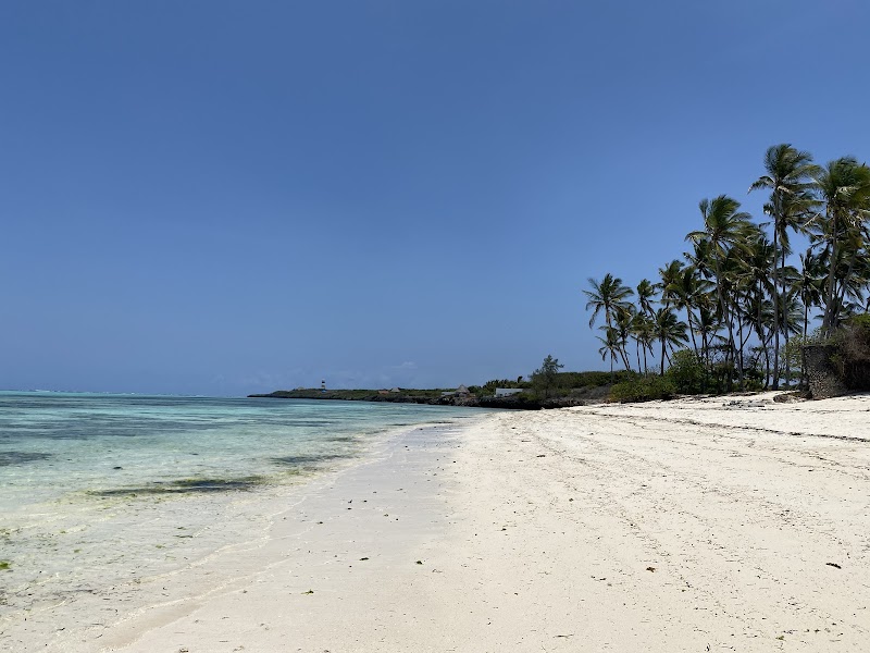 Tropical Serenity at Makunduchi Beach - Makunduchi Beach