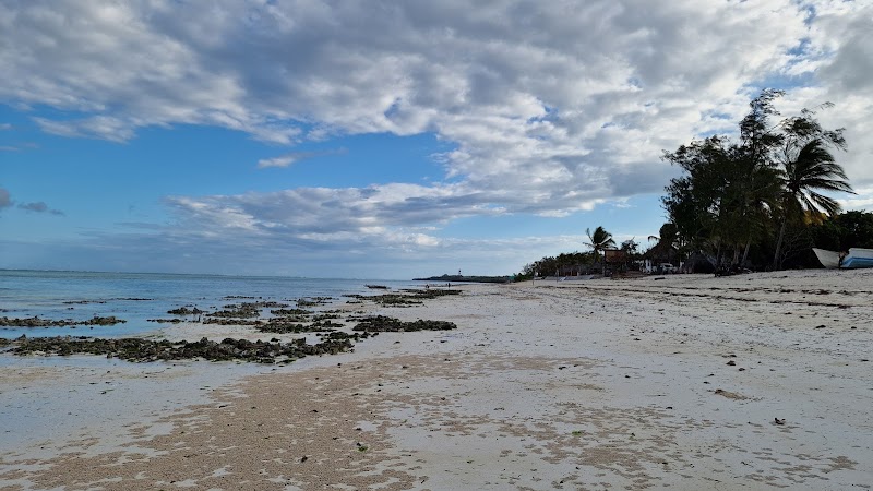 Tropical Serenity at Makunduchi Beach - Makunduchi Beach