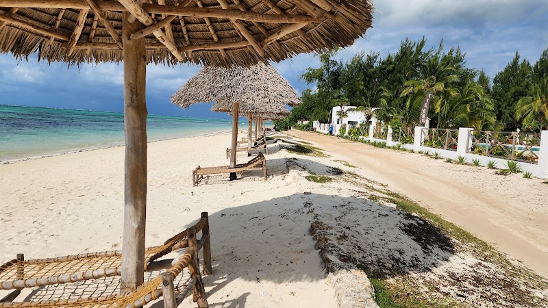 Tropical Serenity at Makunduchi Beach - Makunduchi Beach