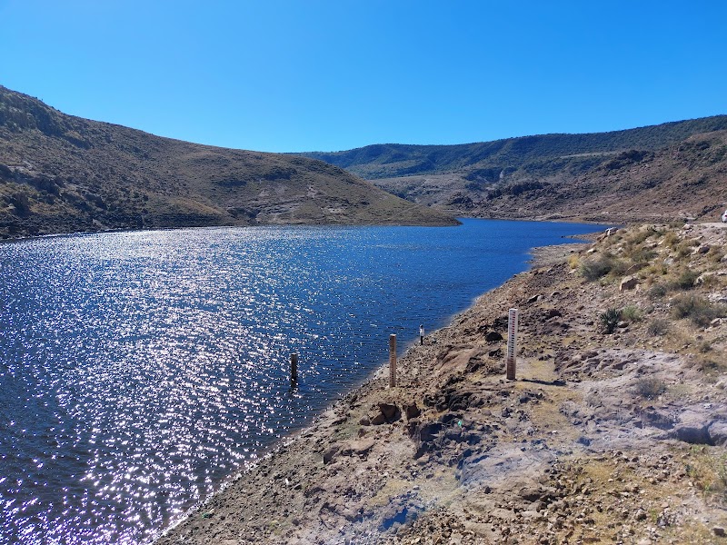 Serenity by the Water: Presa El Potosino - Presa El Potosino