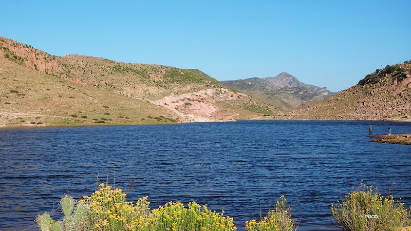 Serenity by the Water: Presa El Potosino - Presa El Potosino