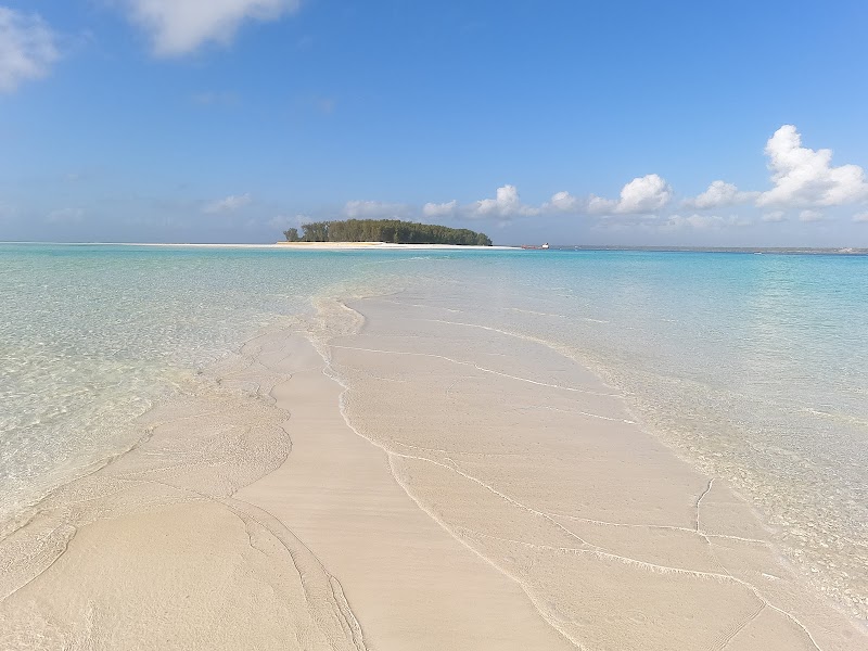 A Day with Nakupenda Tours in Zanzibar - Nakupenda Tours Zanzibar agence francophone