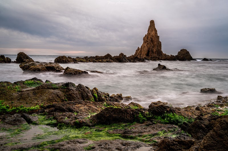 Enchanting Beauty of Arrecife de las Sirenas - Arrecife de las Sirenas