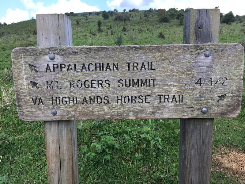 Natural Beauty of Mount Rogers outdoor detail