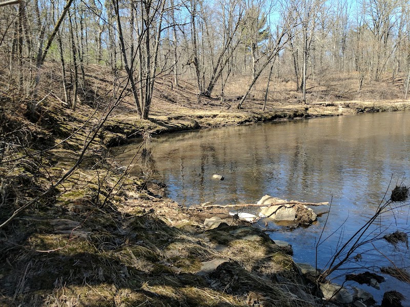 Riverside Tranquility at North Fork Eau Claire River outdoor detail
