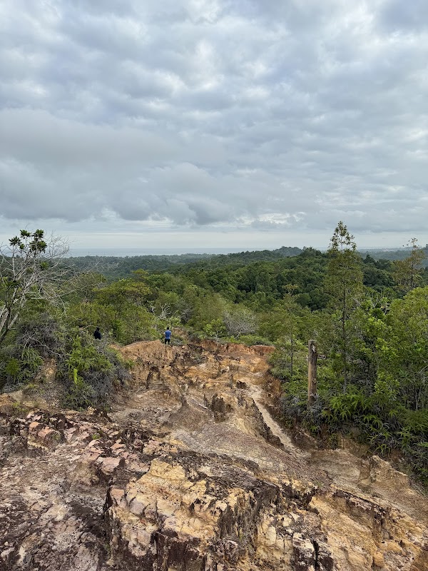 Discover the Verdant Beauty of Bukit Shahbandar Forest - Bukit Shahbandar Forest Recreation Park