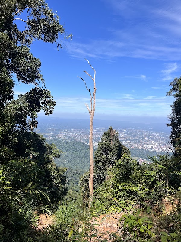 A Green Retreat at Kaki Bukit Larut - Kaki Bukit Larut