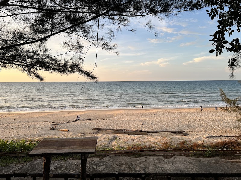 Wild Serenity at Berakas Forest Reserve - Berakas Forest Reserve