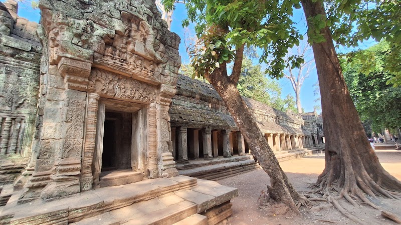 Enchanted Ruins of Ta Prohm Temple - Ta Prohm Temple