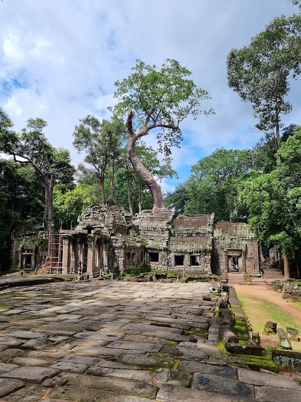 Enchanted Ruins of Ta Prohm Temple - Ta Prohm Temple