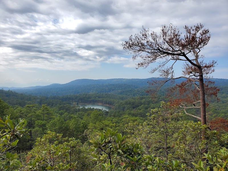 Exploring the Natural Beauty of Kirirom National Park - Kirirom National Park
