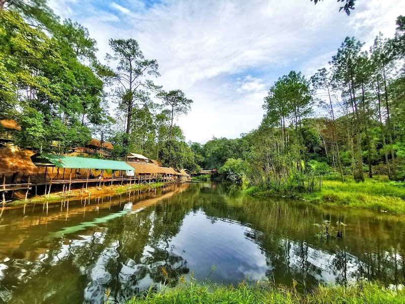 Exploring the Natural Beauty of Kirirom National Park - Kirirom National Park