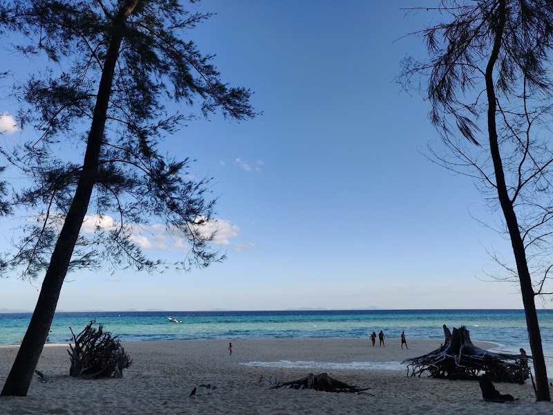 Bamboo Island Bliss - Bamboo Island