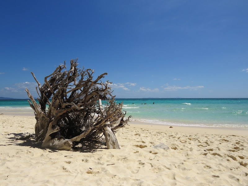 Bamboo Island Bliss - Bamboo Island