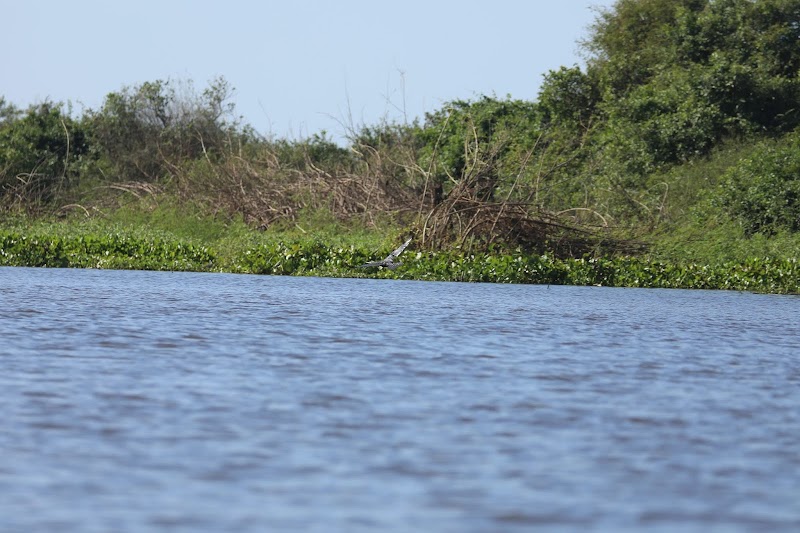 Natural Wonder: Tonlé Sap Biosphere Reserve - Tonlé Sap Biosphere Reserve