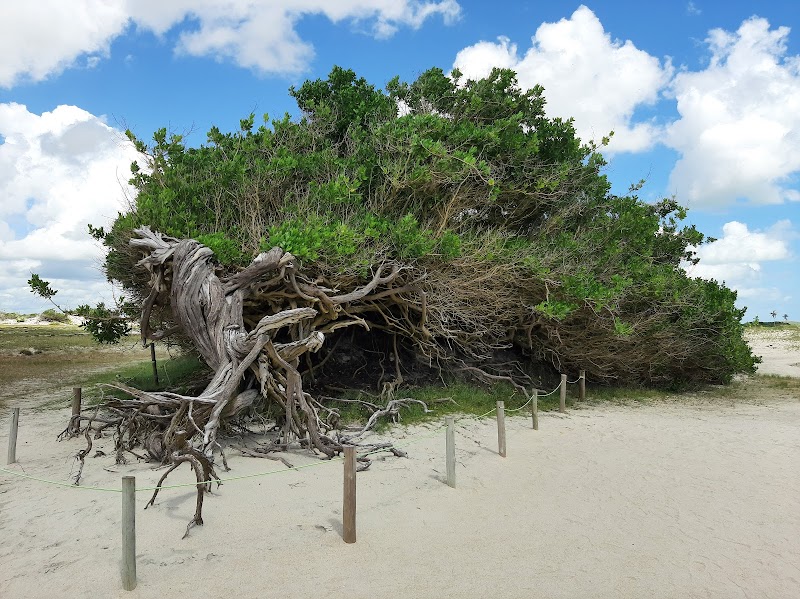 Sand Dunes & Lagoons: Jericoacoara National Park - Jericoacoara National Park