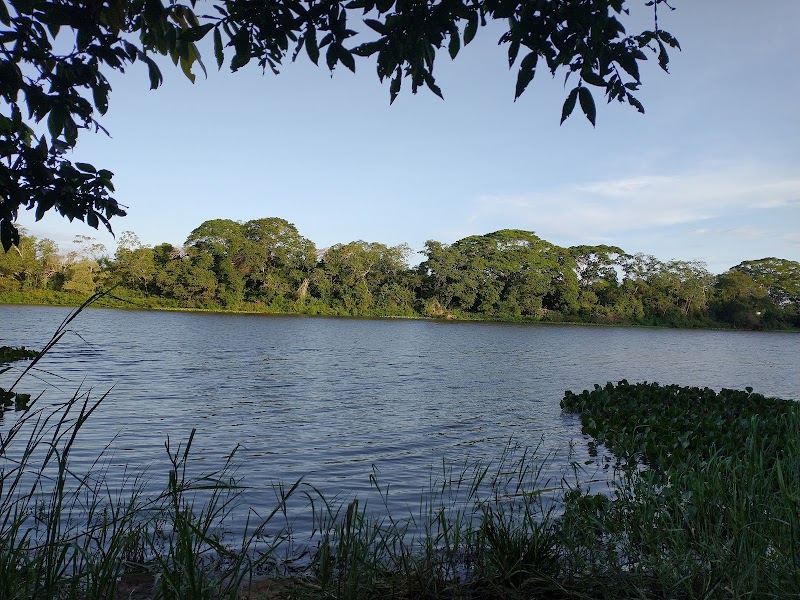 Serenity by the Sea: Ilha Grande National Park - Ilha Grande National Park