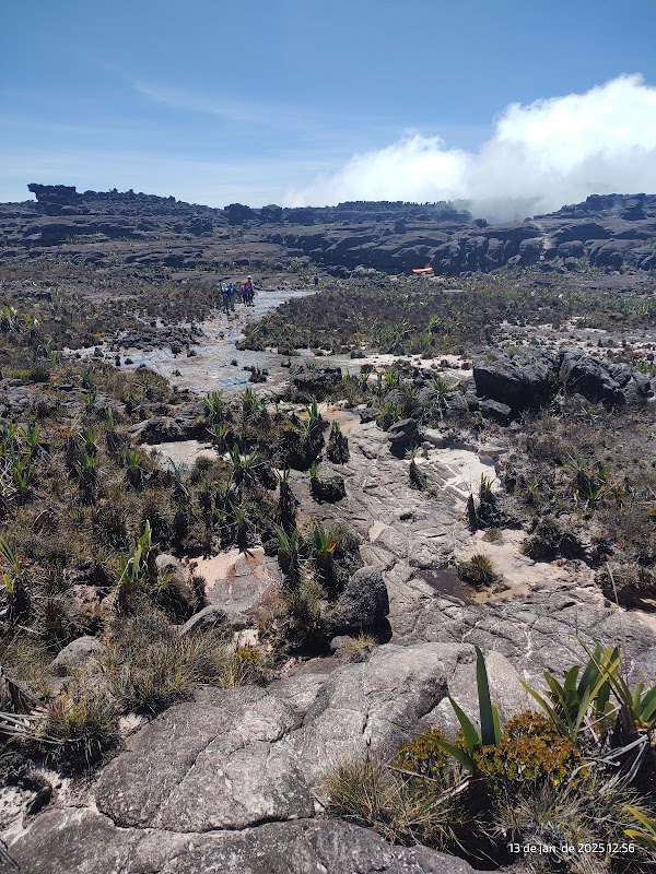 Majestic Monte Roraima: A Natural Wonder - Parque Nacional do Monte Roraima