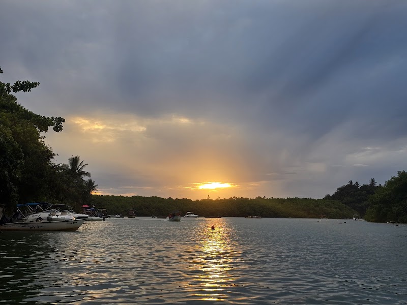 Tropical Paradise at Monte Pascoal National Park - Monte Pascoal National Park