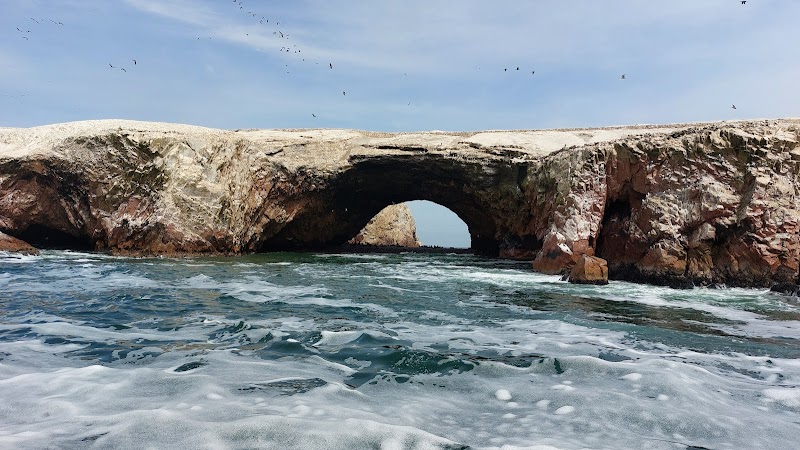 Marine Marvels of Las Ballestas - Las Ballestas