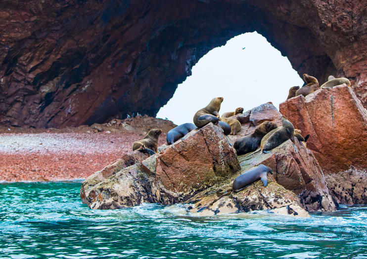 Marine Marvels of Las Ballestas - Las Ballestas