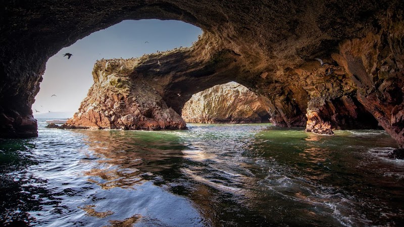 Marine Marvels of Las Ballestas - Las Ballestas