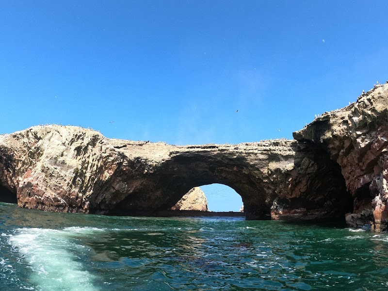 Discover the Natural Wonders of Paracas National Reserve - Paracas National Reserve