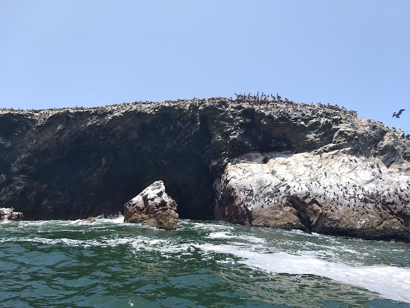 Discover the Natural Wonders of Paracas National Reserve - Paracas National Reserve