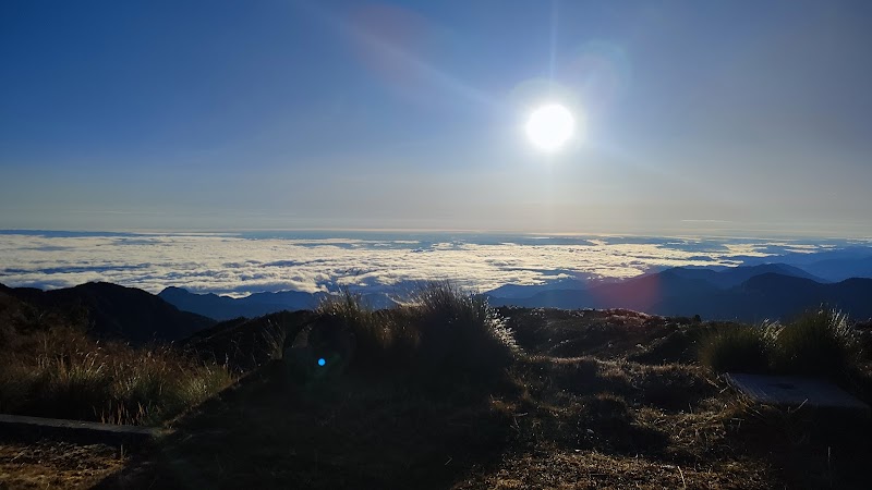 Wild Wonders of Parque Nacional del Manu - Parque Nacional del Manu