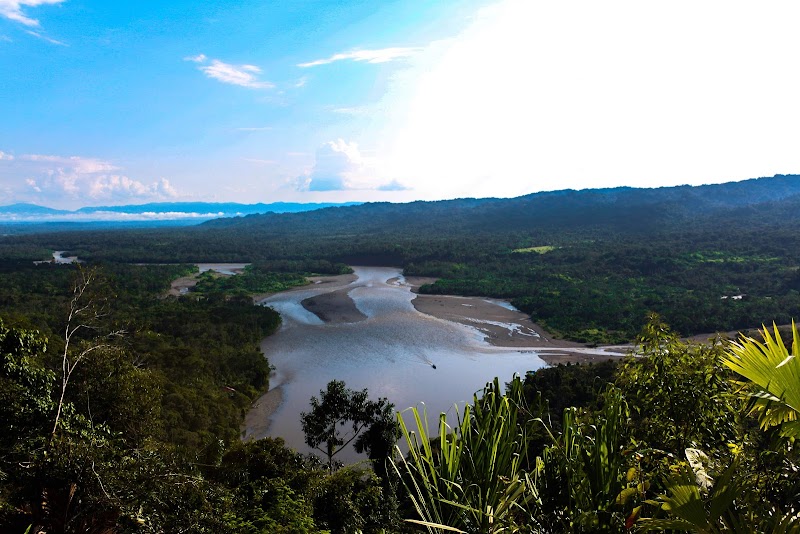 Wild Wonders of Parque Nacional del Manu - Parque Nacional del Manu