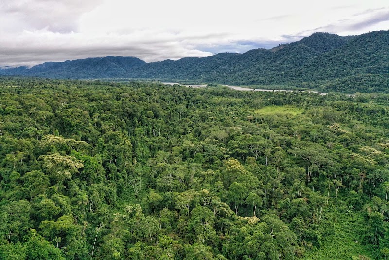 Wild Wonders of Parque Nacional del Manu - Parque Nacional del Manu