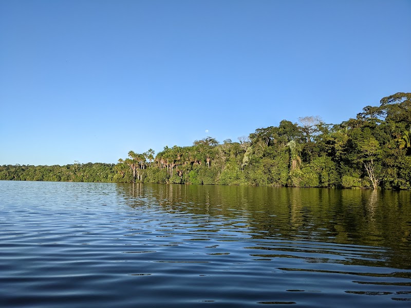 Rainforest Wonders of Reserva Nacional Tambopata - Reserva Nacional Tambopata