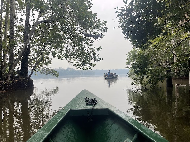 Rainforest Wonders of Reserva Nacional Tambopata - Reserva Nacional Tambopata
