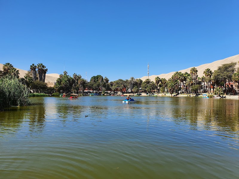 Oasis Retreat: Huacachina Lagoon Reserved Zone - Huacachina Lagoon Reserved Zone