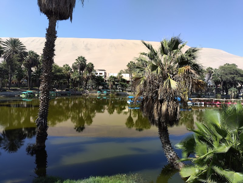 Oasis Retreat: Huacachina Lagoon Reserved Zone - Huacachina Lagoon Reserved Zone