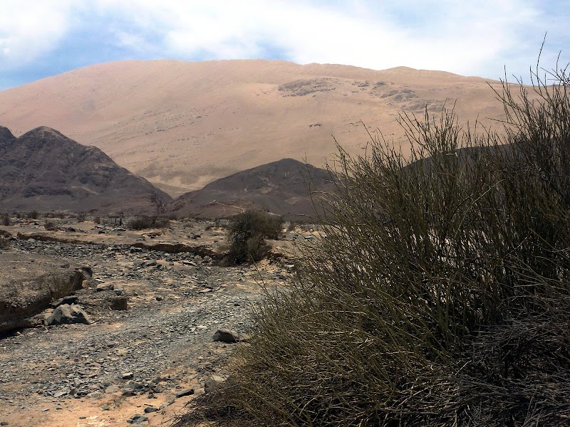 Majestic Dunes of Cerro Blanco - Cerro Blanco