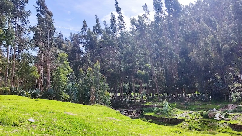 Expansive Serenity in Pampas, Peru - Pampas