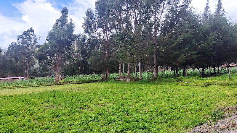 Expansive Serenity in Pampas, Peru - Pampas