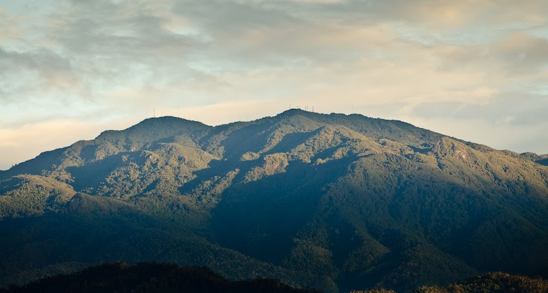Majestic Trails of Cerro de la Muerte - Cerro de la Muerte