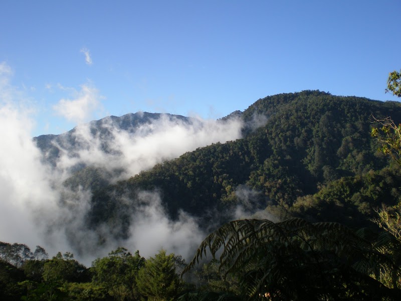 Majestic Trails of Cerro de la Muerte - Cerro de la Muerte