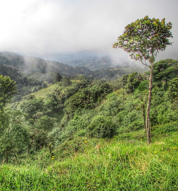 Majestic Trails of Cerro de la Muerte - Cerro de la Muerte