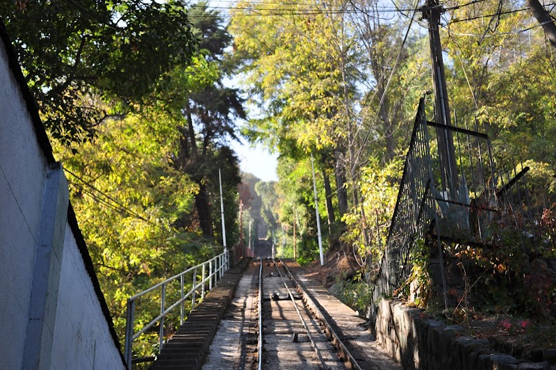 City Views and Vibrant Nature at San Cristóbal Hill - San Cristóbal Hill