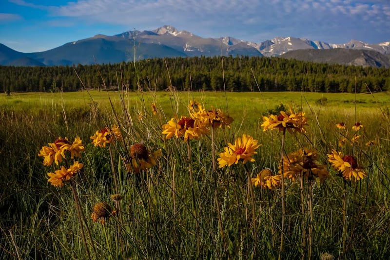 The Needles: Nature's Majesty Unveiled - The Needles