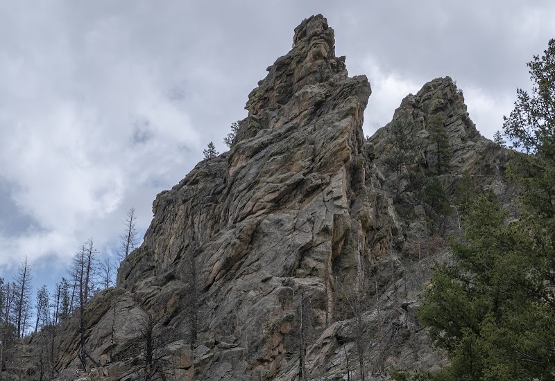 Flowing Beauty: Cache la Poudre River - Cache la Poudre River