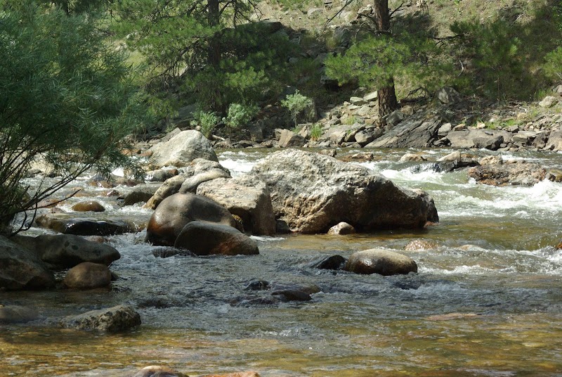 Flowing Beauty: Cache la Poudre River - Cache la Poudre River