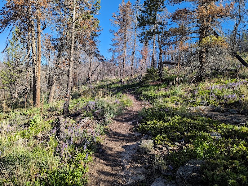 Signal Mountain: A Hidden Gem of Colorado - Signal Mountain
